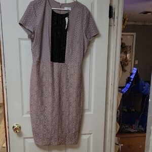 New York & Company Lace Midi Dress in Pink and Black